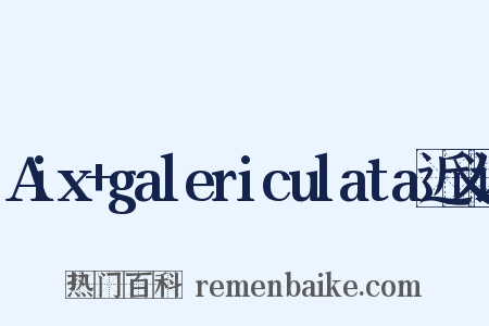 Aix+galericulata近义词是什么意思的图片